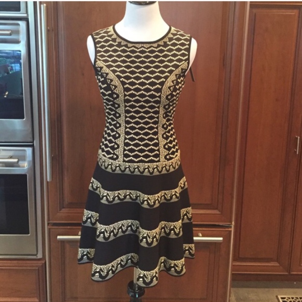 BCBG fit and flare dress. Fun and flirty.